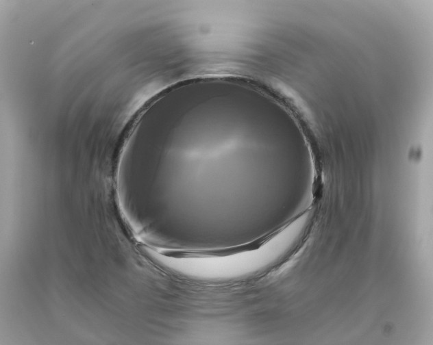 X0000091481457200709061829