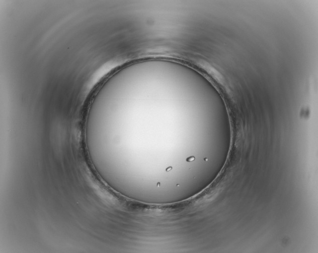 X0000091481458200709061829