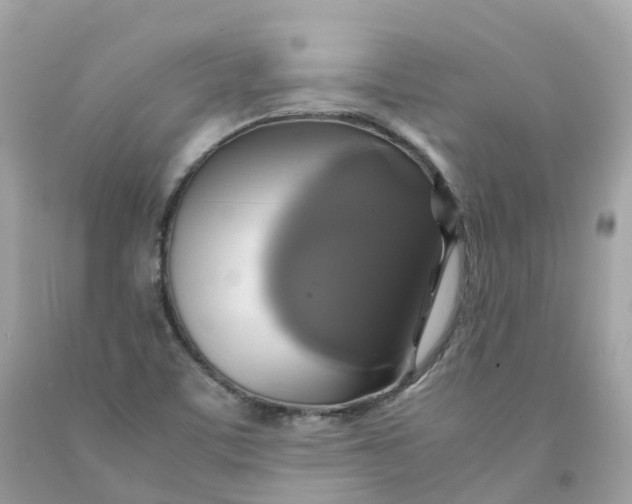 X0000091481459200709061829