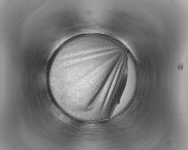 X0000091481460200709061829