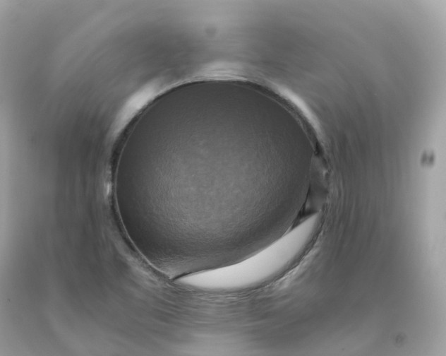 X0000091481461200709061829