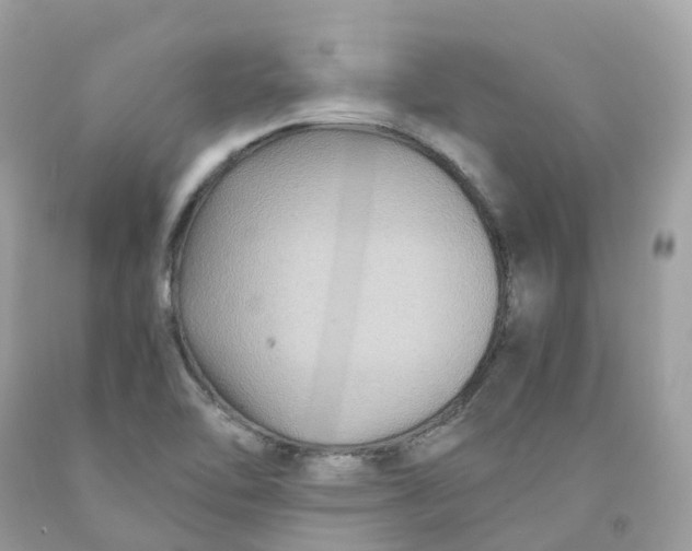 X0000091481462200709061829