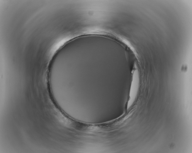 X0000091481463200709061829