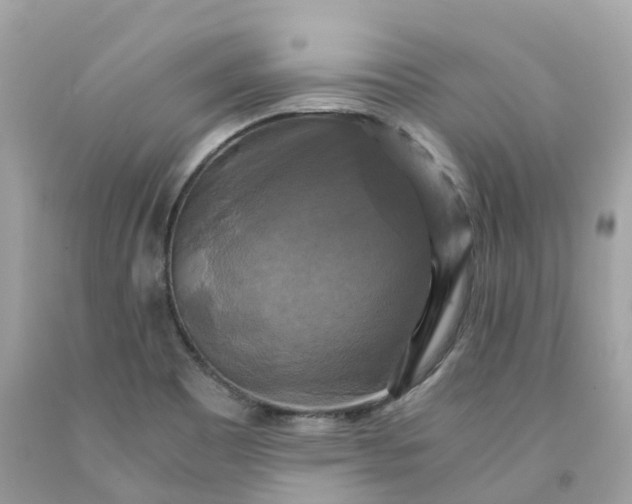 X0000091481465200709061829