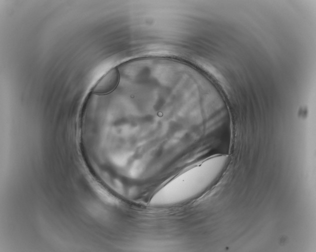 X0000091481467200709061829