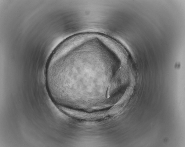 X0000091481468200709061829