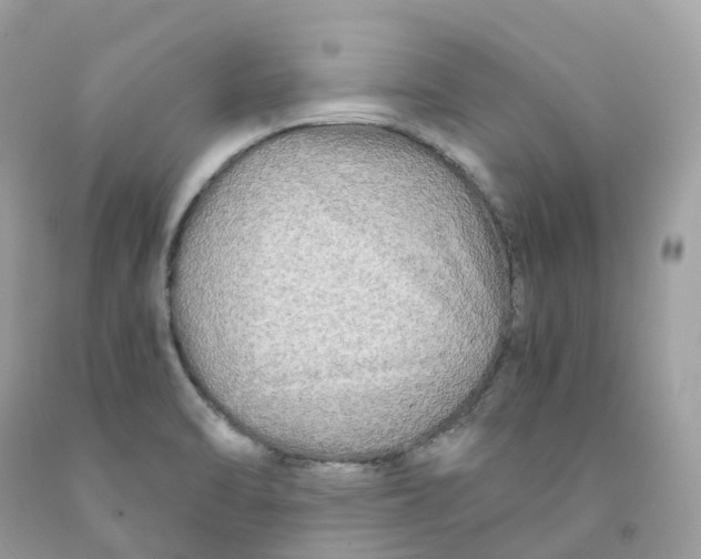 X0000091481470200709061829