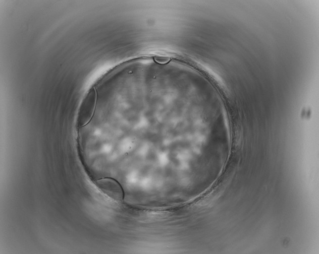 X0000091481471200709061829