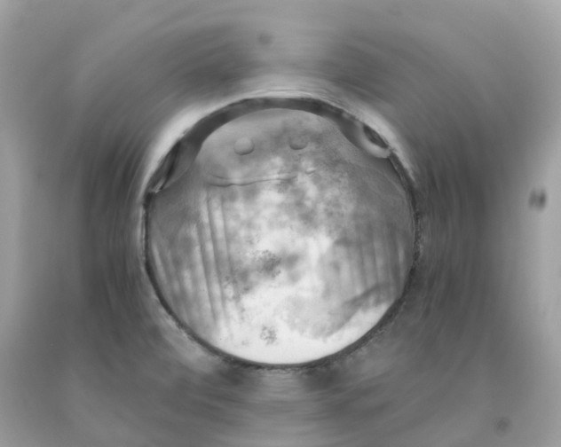 X0000091481472200709061828