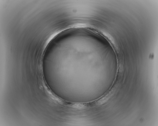 X0000091481473200709061828