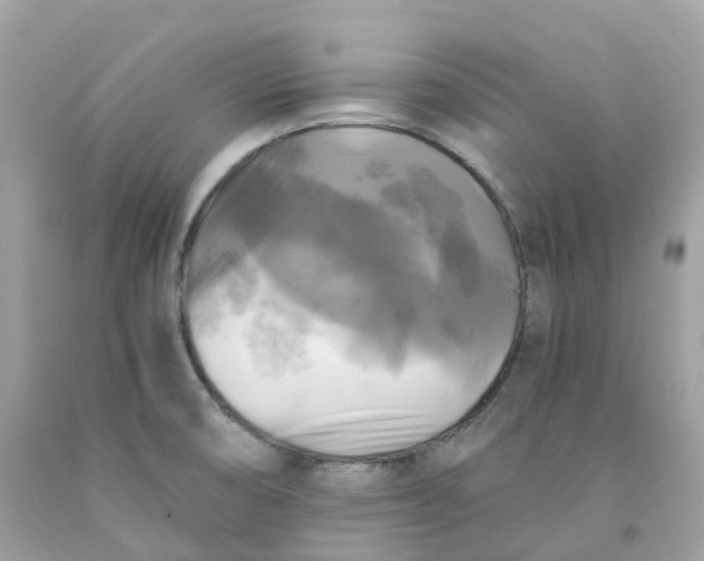 X0000091481474200709061828