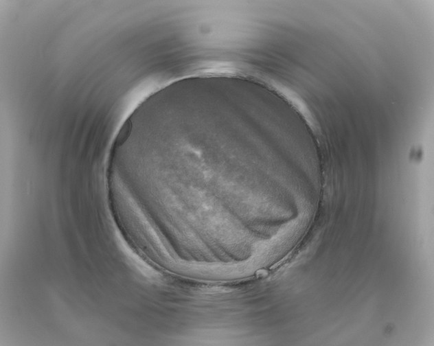 X0000091481475200709061828