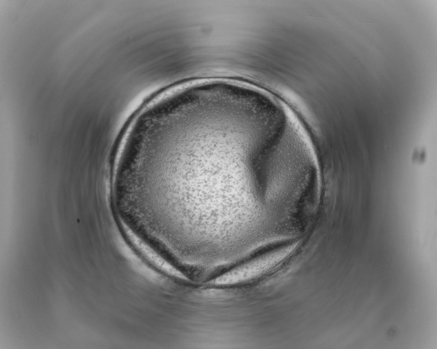 X0000091481476200709061828