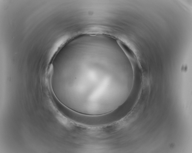 X0000091481477200709061828