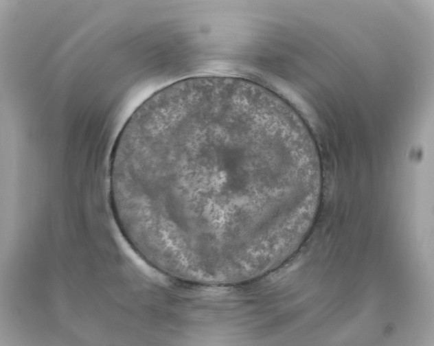 X0000091481479200709061828