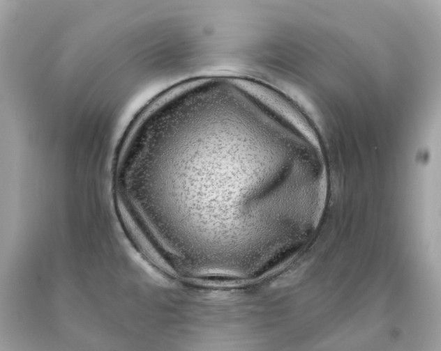 X0000091481480200709061828