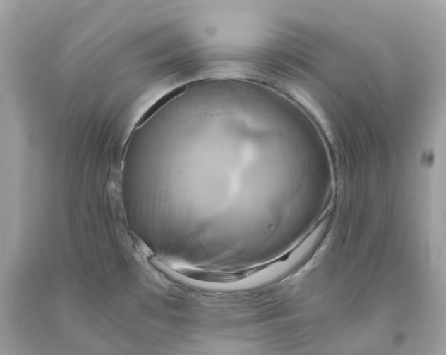 X0000091481481200709061828