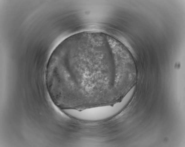 X0000091481484200709061828