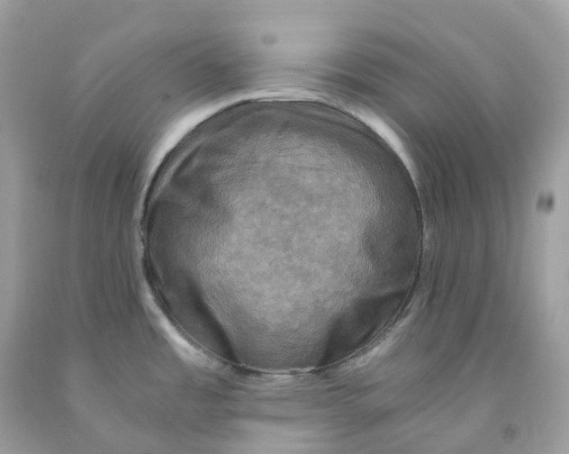 X0000091481485200709061828