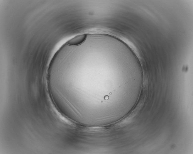 X0000091481486200709061828