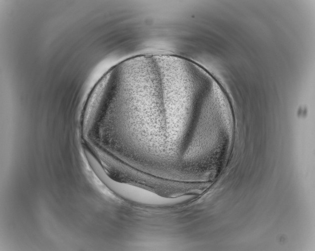 X0000091481488200709061828