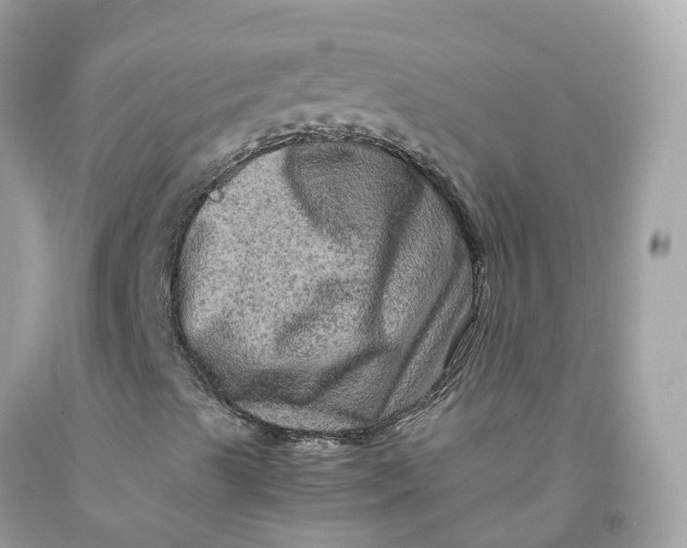 X0000091481489200709061828