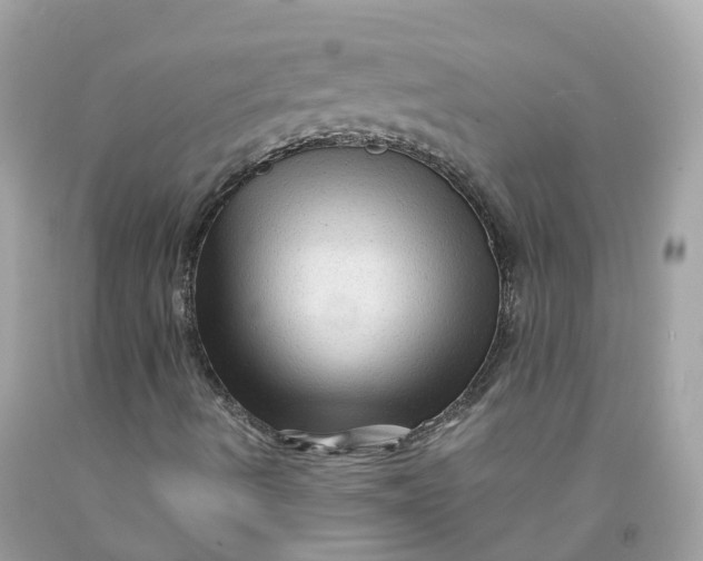 X0000091481490200709061828