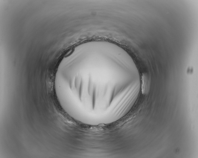 X0000091481491200709061828