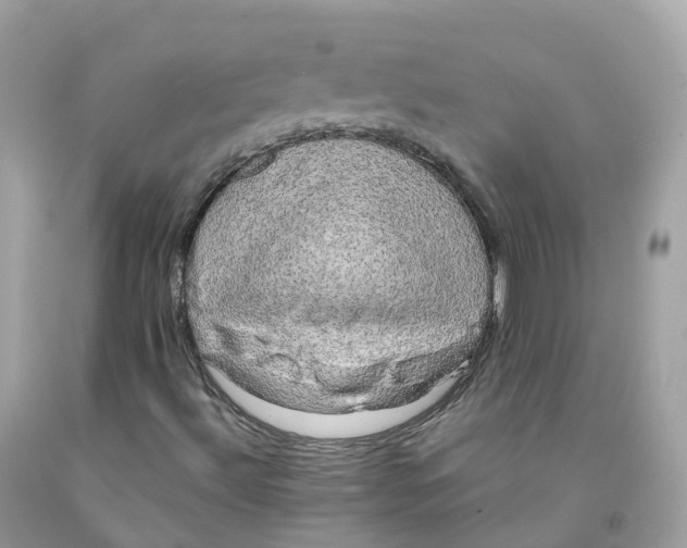 X0000091481492200709061828