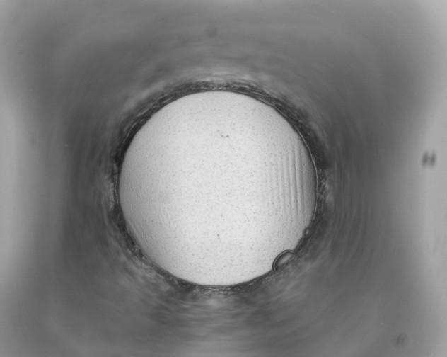 X0000091481493200709061828