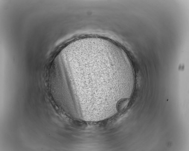 X0000091481494200709061828