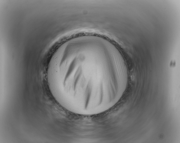 X0000091481495200709061828