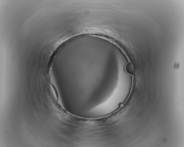 X0000091481497200709061828