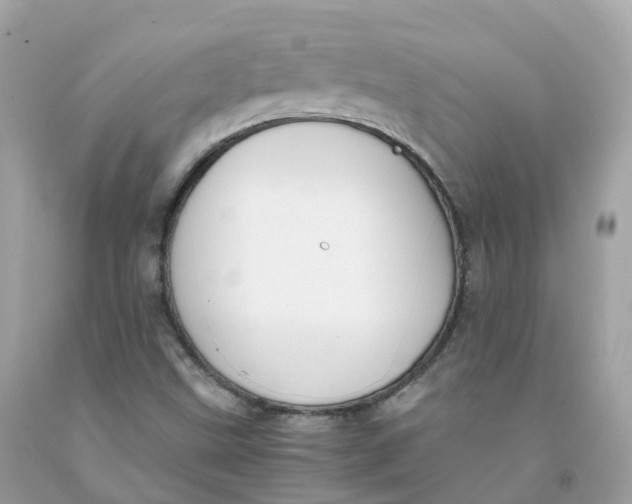 X0000091481499200709061828