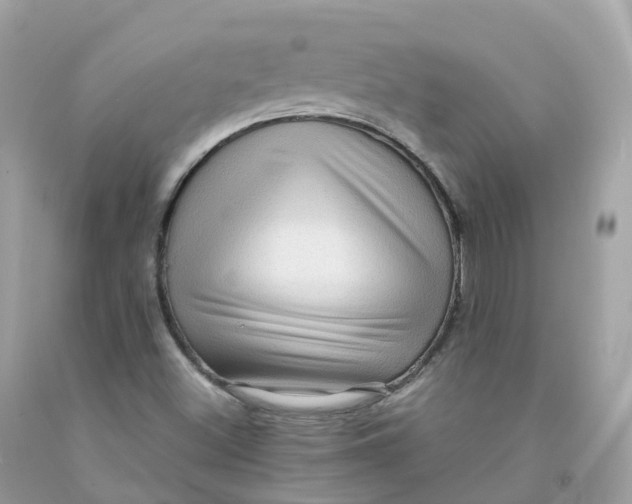 X0000091481500200709061828