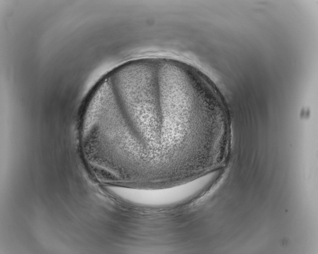 X0000091481501200709061828