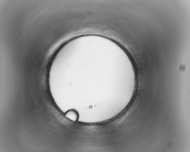 X0000091481502200709061828