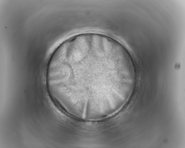 X0000091481504200709061828