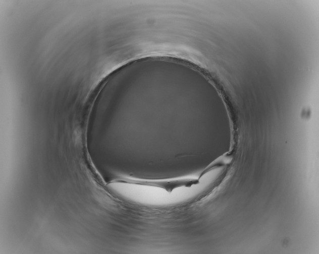 X0000091481505200709061828