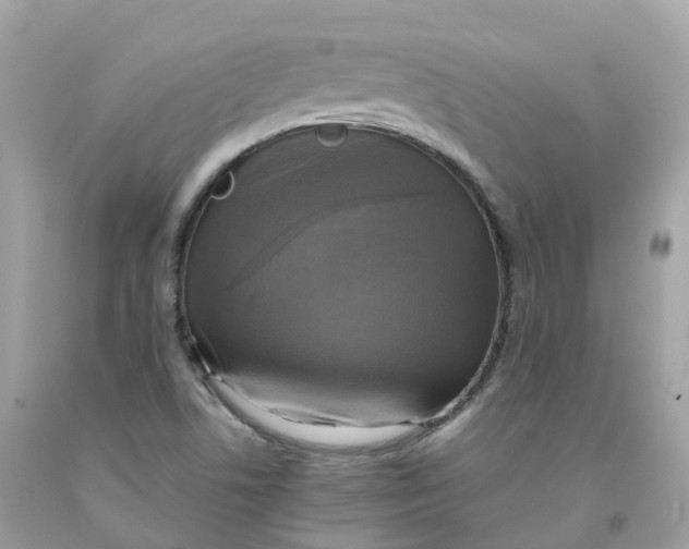 X0000091481506200709061828