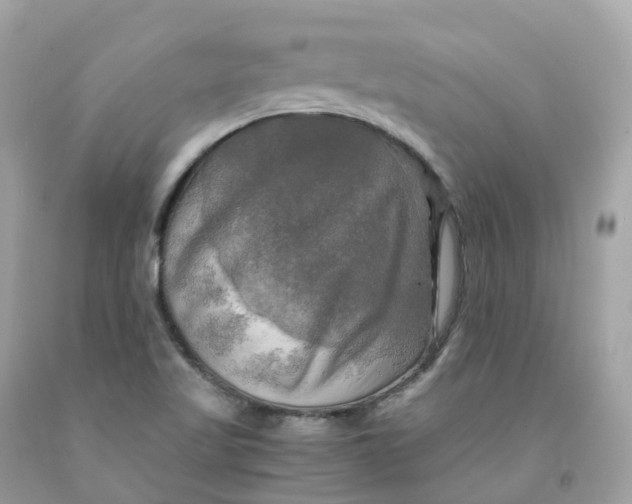 X0000091481509200709061828