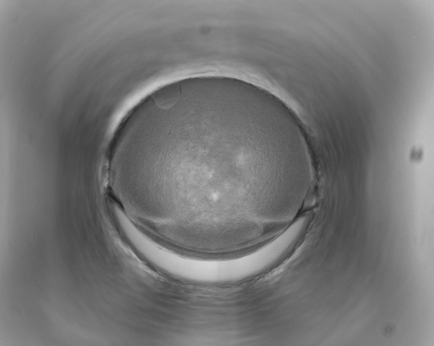 X0000091481510200709061828