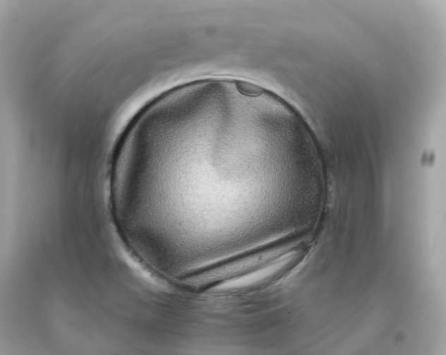 X0000091481511200709061828