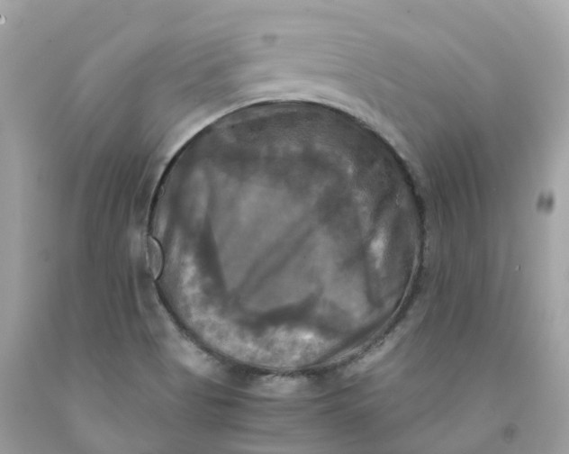 X0000091481513200709061828