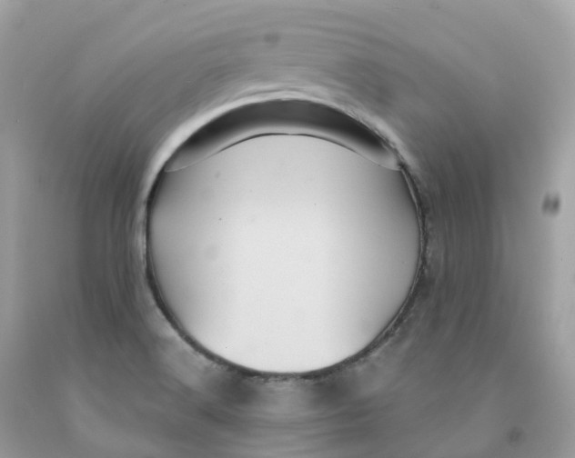 X0000091481516200709061828