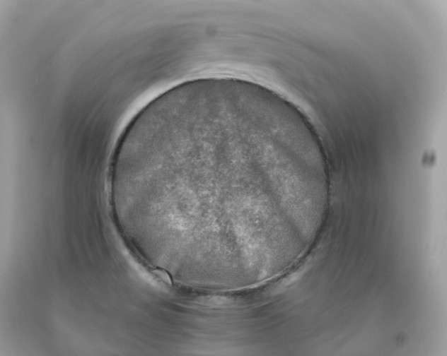 X0000091481517200709061828