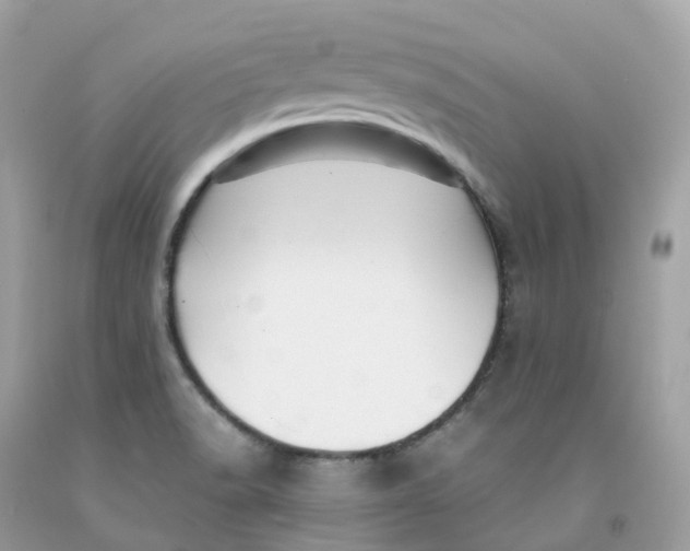 X0000091481518200709061828