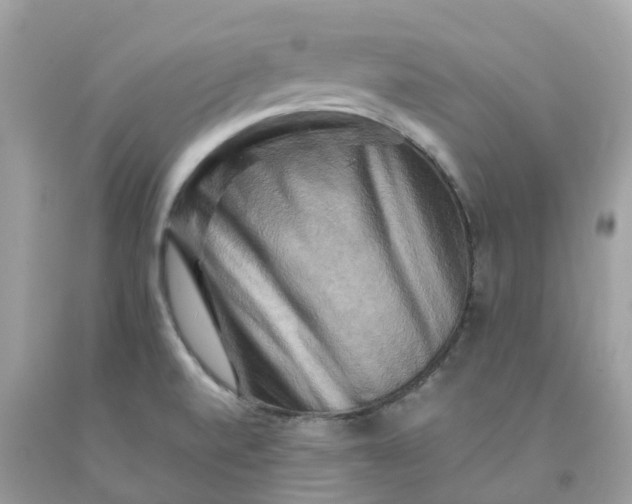 X0000091481520200709061828