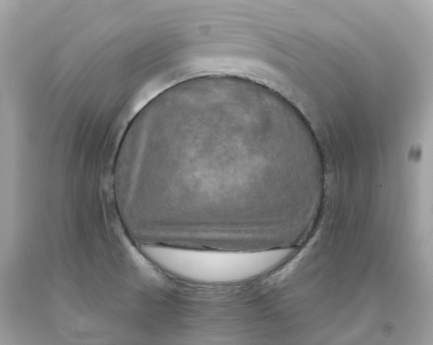 X0000091481521200709061828