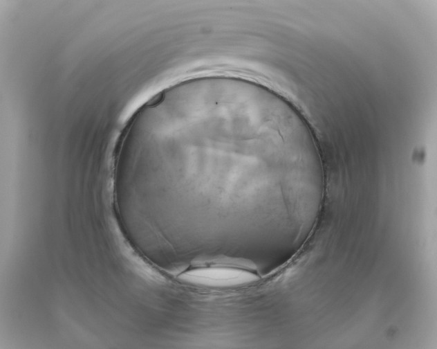 X0000091481522200709061828